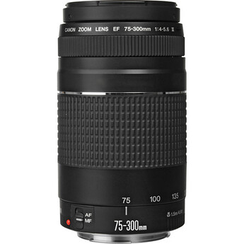 Canon Zoom Telephoto EF 75-300mm f/4.0-5.6 III Autofocus Lens — thumbnail 2