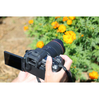 Canon RF 14mm f/1.4 L VCM Lens (Canon RF) — thumbnail 12