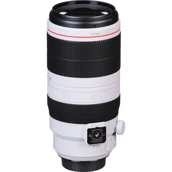 Canon EF 100-400mm f/4.5-5.6L IS II USM Lens — thumbnail 11