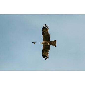 Fujifilm XF 400mm f/4.5 R LM OIS WR Lens — thumbnail 29