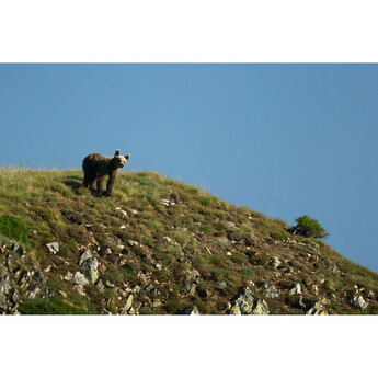 Fujifilm XF 400mm f/4.5 R LM OIS WR Lens — thumbnail 37