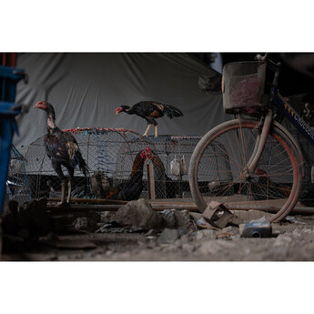 Leica Vario-Elmarit-SL 28-70mm f/2.8 ASPH. Lens (L-Mount) — thumbnail 14