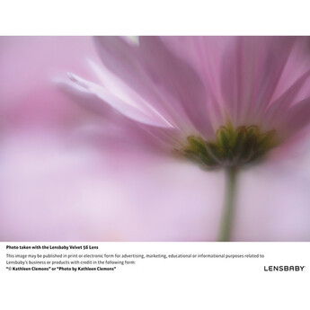 Lensbaby Velvet 56mm f/1.6 Lens for Canon EF (Black) — thumbnail 14
