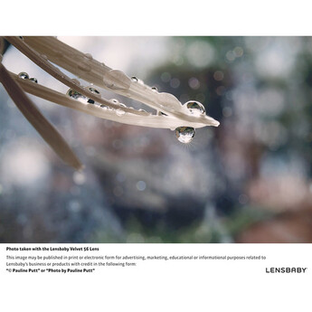 Lensbaby Velvet 56mm f/1.6 Lens for Canon EF (Black) — thumbnail 15