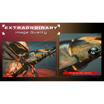 Mitakon zhongyi 55mm f/2.8 1-5x Macro Lens (L-mount) — thumbnail 21