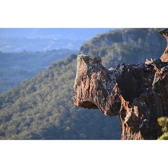 Nikon NIKKOR Z 70-200mm f/2.8 VR S II Lens (Nikon Z) — thumbnail 25