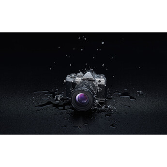OM SYSTEM M.Zuiko Digital ED 40-150mm f/4 PRO Lens — thumbnail 22