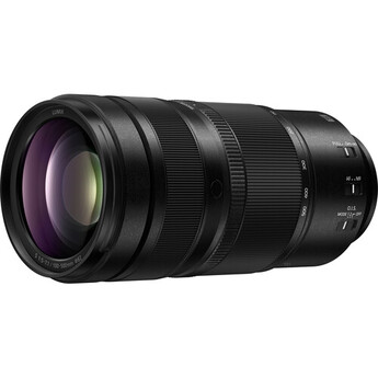 Panasonic Lumix S 100-500mm f/5-7.1 O.I.S. Lens (L-Mount) — thumbnail 7