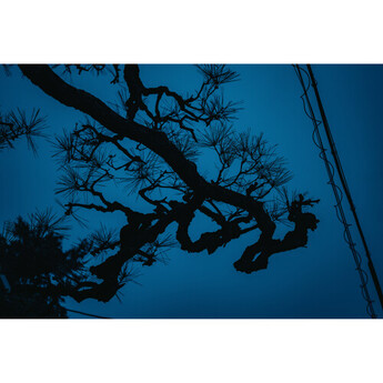Sigma 17-40mm f/1.8 DC Art Lens (L-Mount) — thumbnail 14