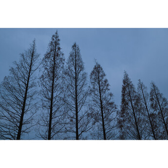 Sigma 35mm f/1.4 DG II Art Lens (L-Mount) — thumbnail 14