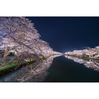 Sigma 14mm f/1.4 DG DN Art Lens (Sony E) — thumbnail 13