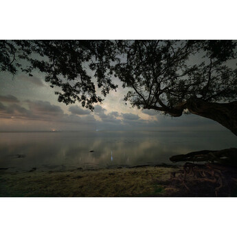 Sigma 14mm f/1.4 DG DN Art Lens (Sony E) — thumbnail 17