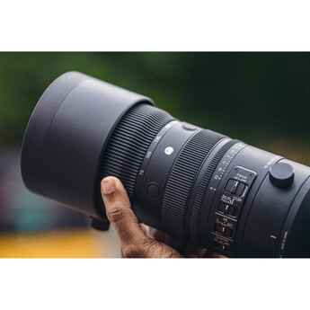 Sigma 591965 10