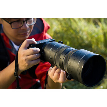 Sigma 591965 12