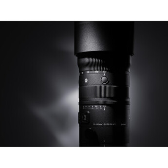 Sigma 591965 3