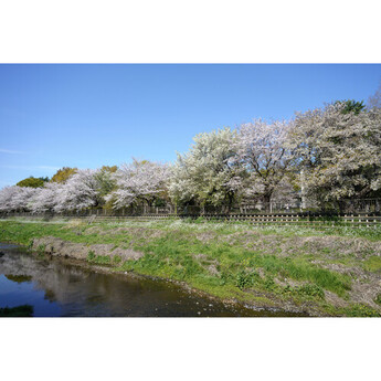 Sigma 20-60mm f/2.8-4 DG Contemporary Lens (Sony E) — thumbnail 12