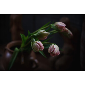 Sigma 20-60mm f/2.8-4 DG Contemporary Lens (Sony E) — thumbnail 7