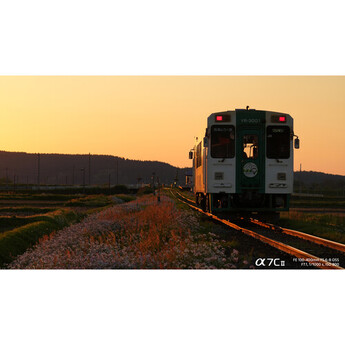 Sony FE 100-400mm f/5.6-8 OSS Lens (Sony E) — thumbnail 28