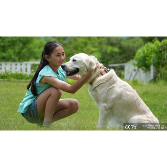 Sony FE 100-400mm f/5.6-8 OSS Lens (Sony E) — thumbnail 33