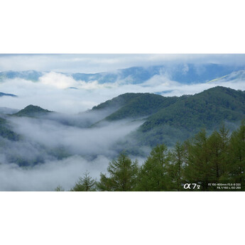 Sony FE 100-400mm f/5.6-8 OSS Lens (Sony E) — thumbnail 34