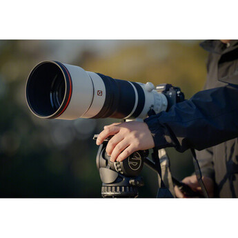 Sony FE 100-400mm f/4.5 GM OSS Lens (Sony E) — thumbnail 12