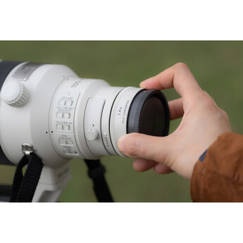 Sony FE 100-400mm f/4.5 GM OSS Lens (Sony E) — thumbnail 13