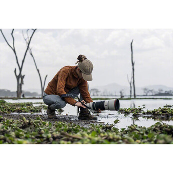 Sony FE 100-400mm f/4.5 GM OSS Lens (Sony E) — thumbnail 15