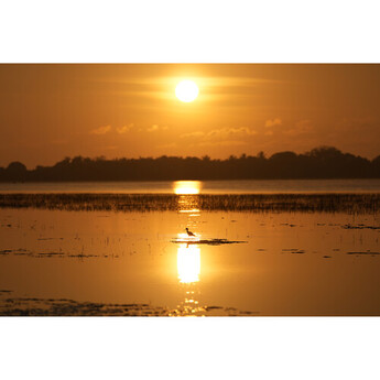Sony FE 100-400mm f/4.5 GM OSS Lens (Sony E) — thumbnail 23
