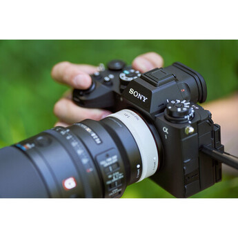 Sony FE 100mm f/2.8 Macro GM Lens (Sony E) — thumbnail 16