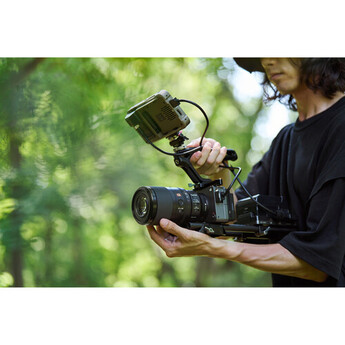 Sony FE 100mm f/2.8 Macro GM Lens (Sony E) — thumbnail 17