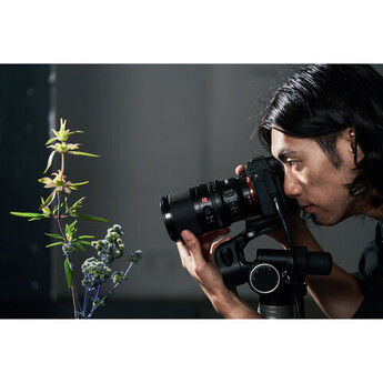 Sony FE 100mm f/2.8 Macro GM Lens (Sony E) — thumbnail 19