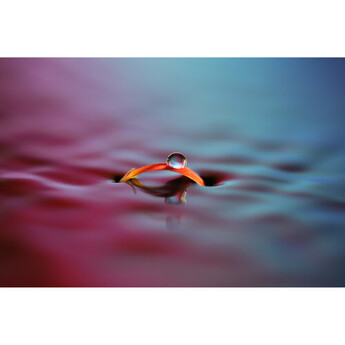 Sony FE 100mm f/2.8 Macro GM Lens (Sony E) — thumbnail 26
