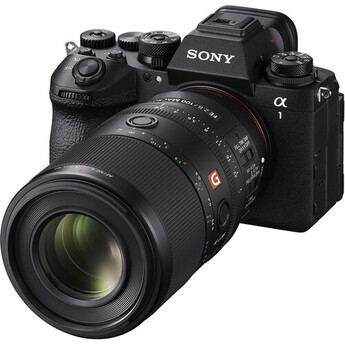 Sony FE 100mm f/2.8 Macro GM Lens (Sony E) — thumbnail 8
