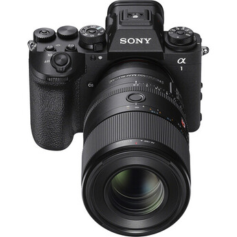 Sony FE 100mm f/2.8 Macro GM Lens (Sony E) — thumbnail 9