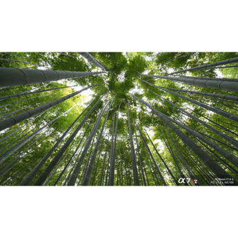 Sony sel16f18g 24