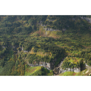 Sony FE 28-70mm f/3.5-5.6 OSS II Lens (Sony E) — thumbnail 15