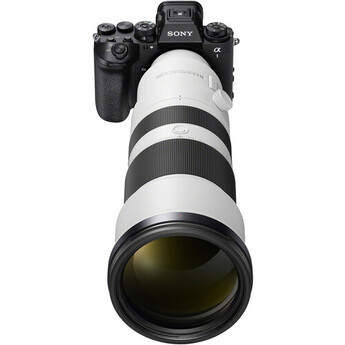 Sony sel400800g 13