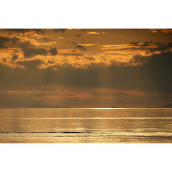 Sony FE 400mm f/4.5 GM OSS Lens (Sony E) — thumbnail 32
