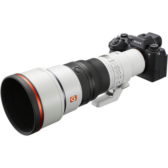 Sony FE 600mm f/6.3 GM OSS Lens (Sony E) — thumbnail 11