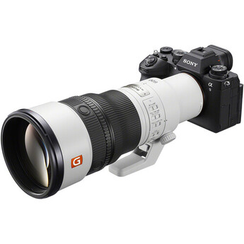 Sony FE 600mm f/6.3 GM OSS Lens (Sony E) — thumbnail 13