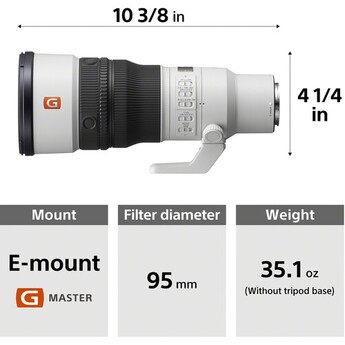 Sony FE 600mm f/6.3 GM OSS Lens (Sony E) — thumbnail 18