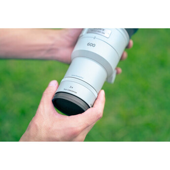 Sony FE 600mm f/6.3 GM OSS Lens (Sony E) — thumbnail 21
