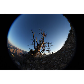 Sony FE 8-14mm f/3.5 Fisheye G Lens (Sony E) — thumbnail 32