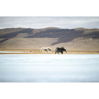 Tamron 70-180mm f/2.8 Di III VC VXD G2 Lens (Nikon Z) — thumbnail 17