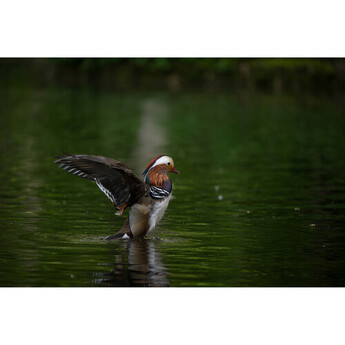 Tamron afa067z700 35