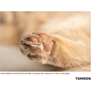 Tamron afa069s700 23