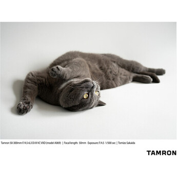 Tamron afa069s700 29