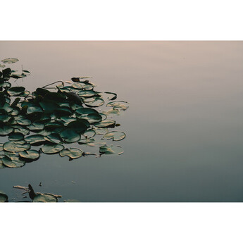 Tamron 35-100mm f/2.8 Di III VXD Lens (Nikon Z) — thumbnail 18