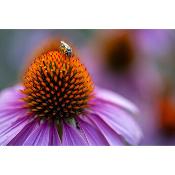Tamron aff072s700 14