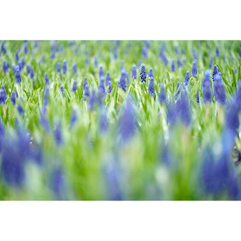 Tamron aff072s700 28